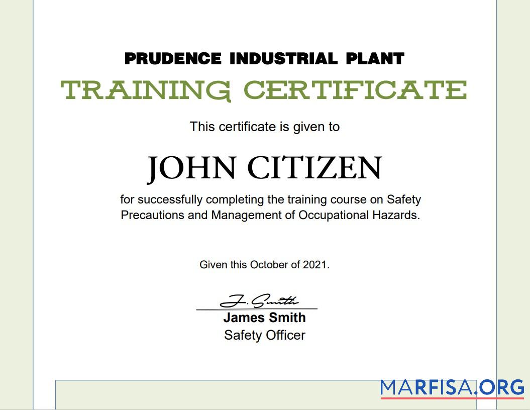 Downloadable USA Training certificate template in Word and PDF format, version 2